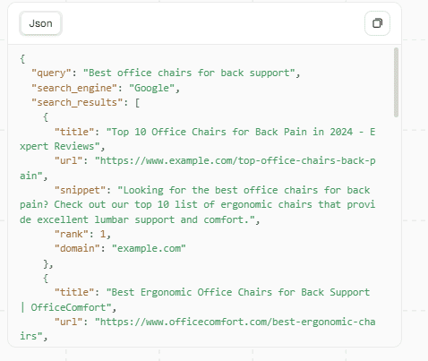 Google Search Scraper JSON Preview
